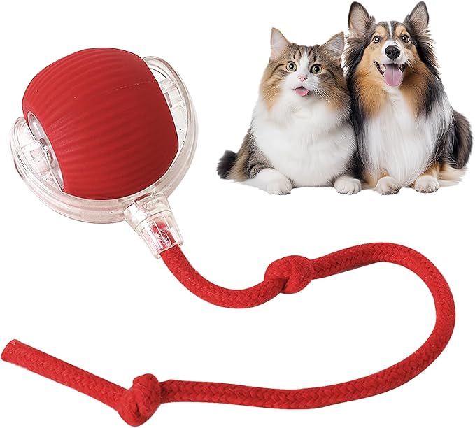 Interactive Play Ball With Tail