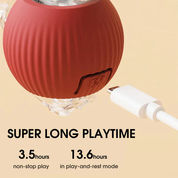Interactive Play Ball With Tail